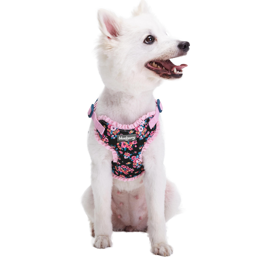 Blueberry Pet Soft & Comfy Elegant Floral No Pull Mesh Puppy Dog Harness Vest in Sleek Black - XS, Chest 14-16