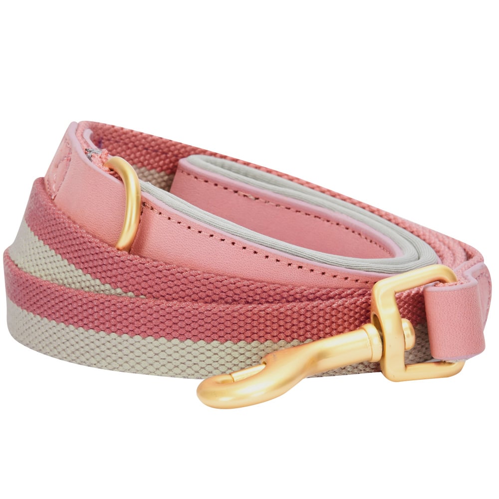 Blueberry Pet Polyester Fabric & Leather Dog Leash With Soft  Comfortable Handle, Pink & Grey - 6' x 1