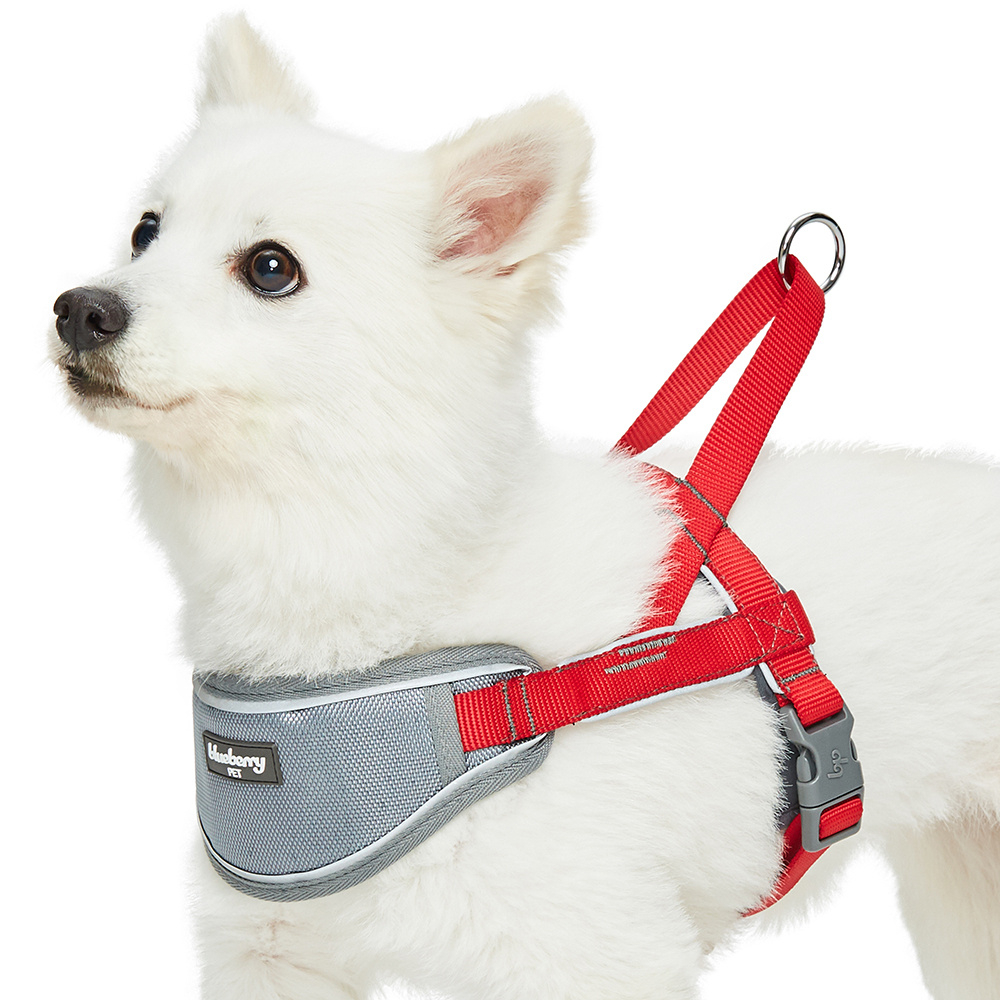 Blueberry Soft  Comfy 3M Reflective Strips Padded Red Dog Harness - Large: Fits Chest Girth 30