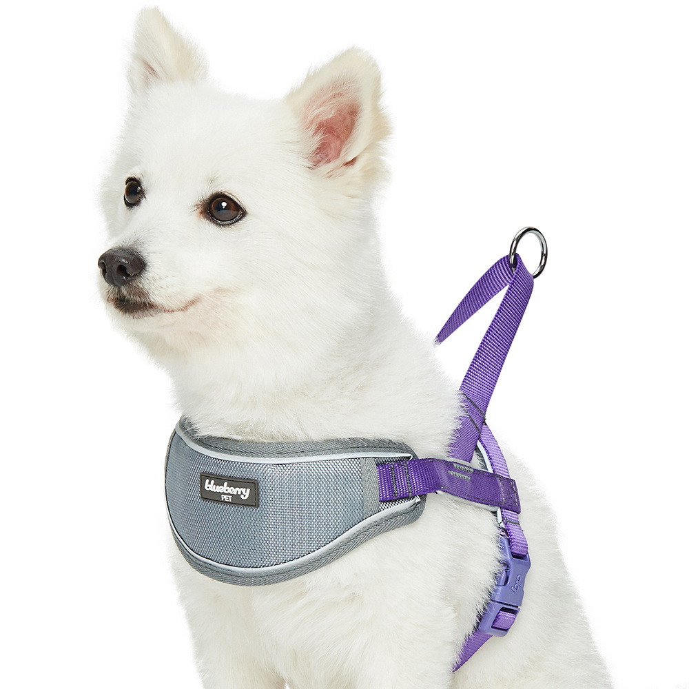 Blueberry Soft  Comfy 3M Reflective Strips Padded Purple Dog Harness Vest - Medium: Fits Chest Girth 20.5