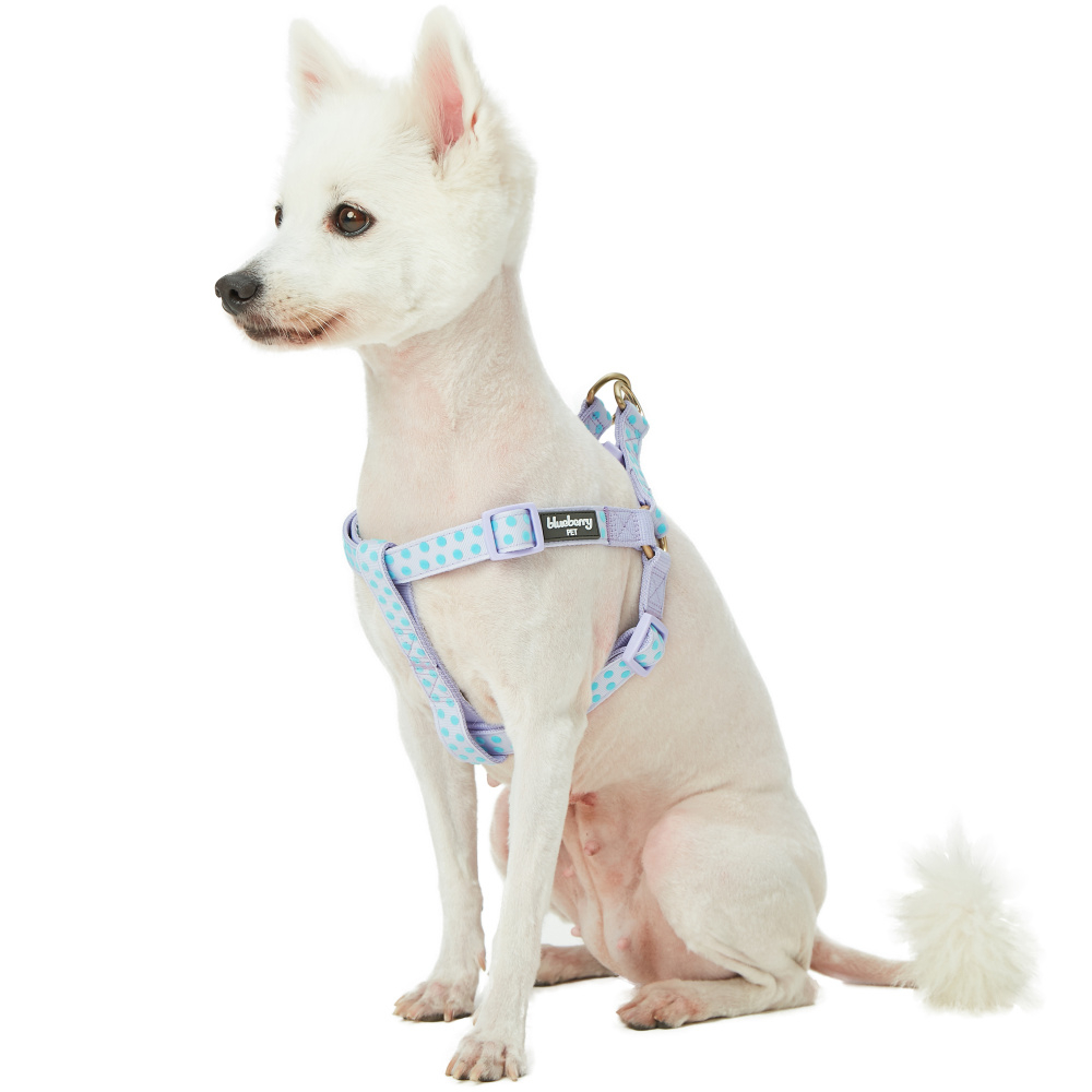 Blueberry Pet Step-in Velvety Polka Dot Flocking Dog Harness in Pastel Purple - Small, Chest 16.5-21.5