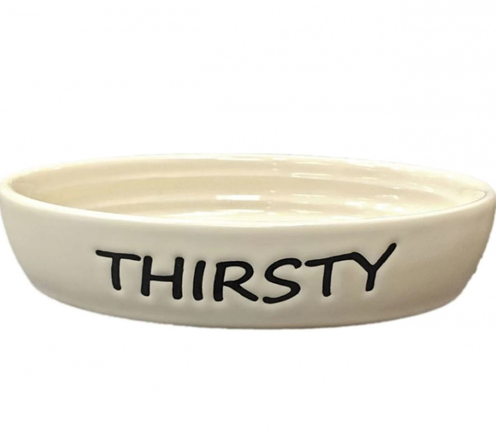 Ethical Pet Oval Thirsty Cat Dish - Cat Dish 6