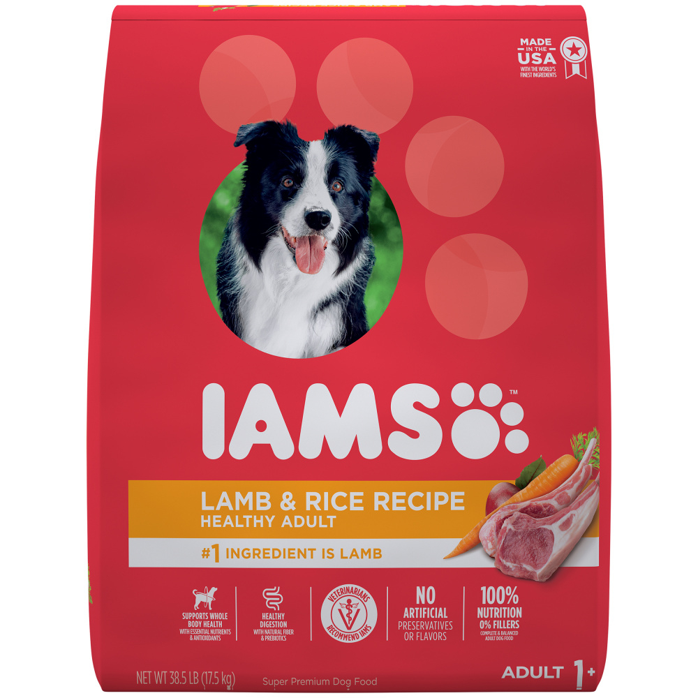 can dogs eat iams dry cat food