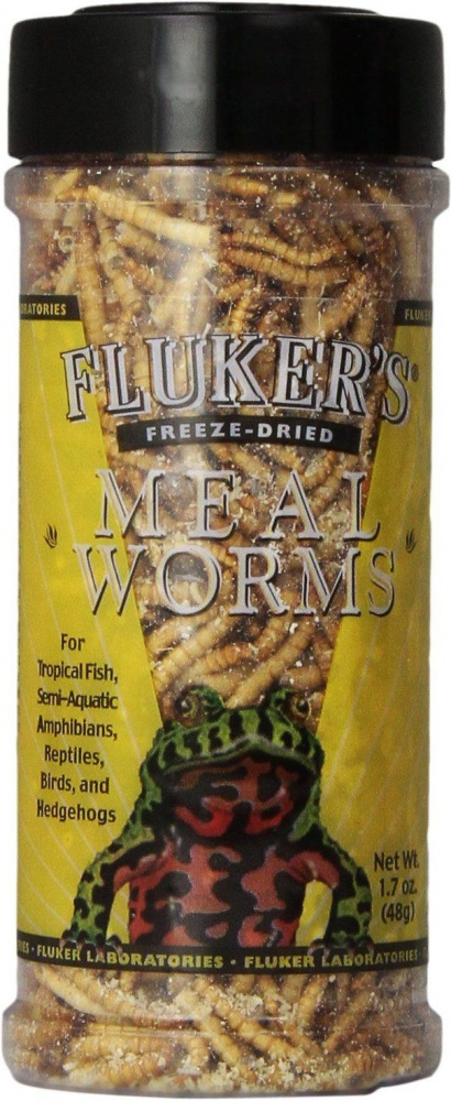 leopard gecko freeze dried mealworms