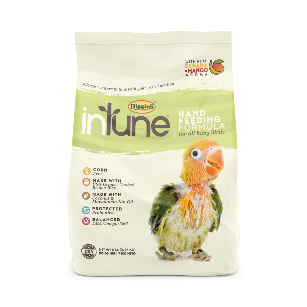 Higgins intune best sale parrot food