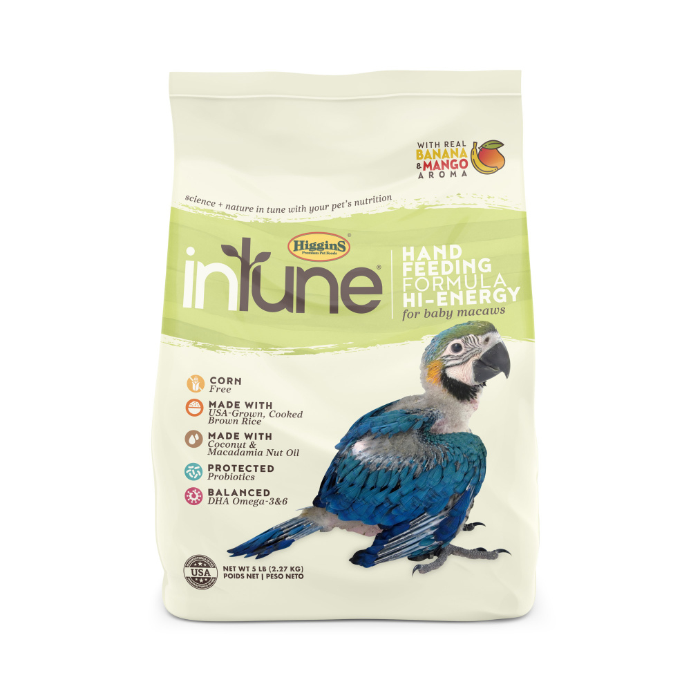 intune harmony bird food