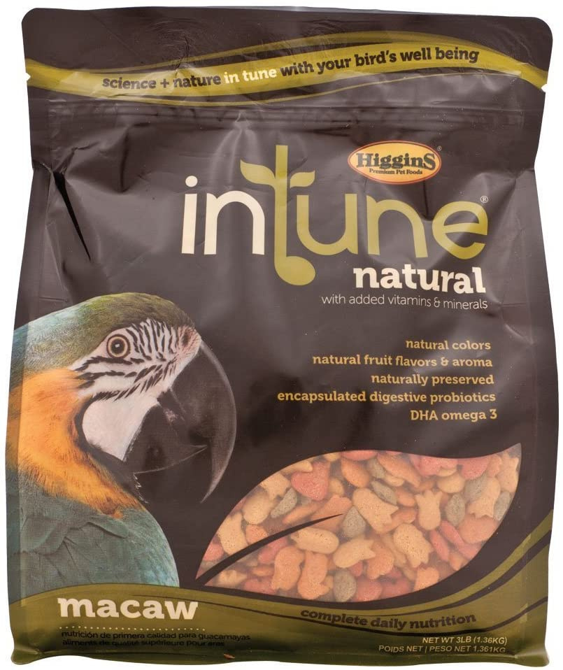 Higgins intune shop parrot food