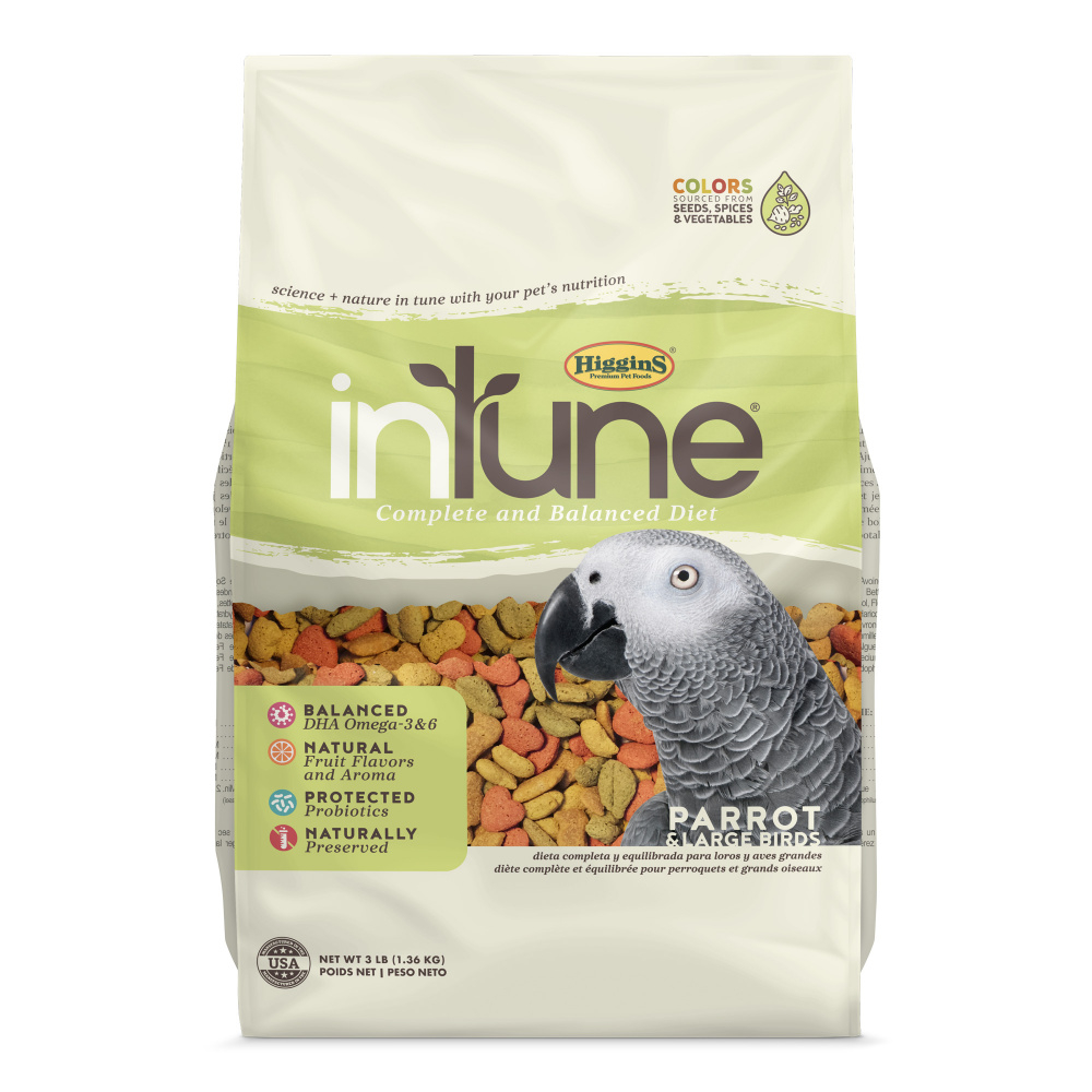 Premium hotsell parrot food