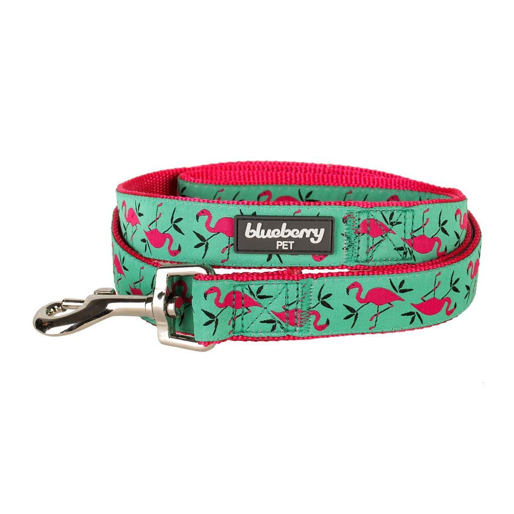 Collars and Leashes – Buffalo Barkery