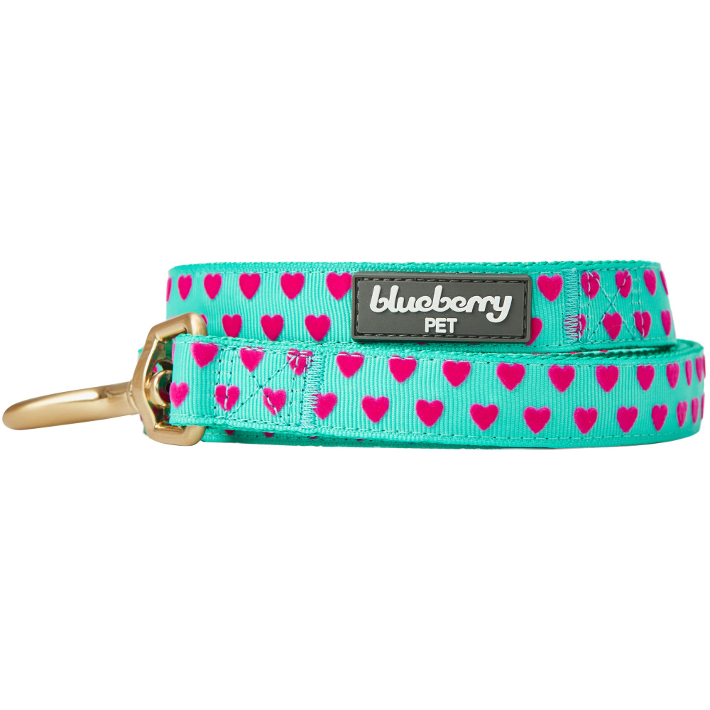 Blueberry 2024 pet leash