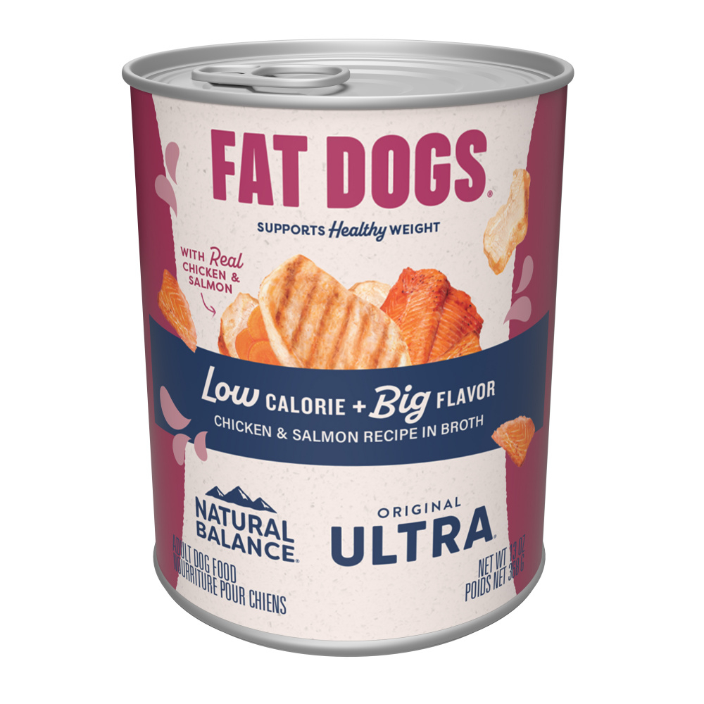 Food for fat outlet dogs