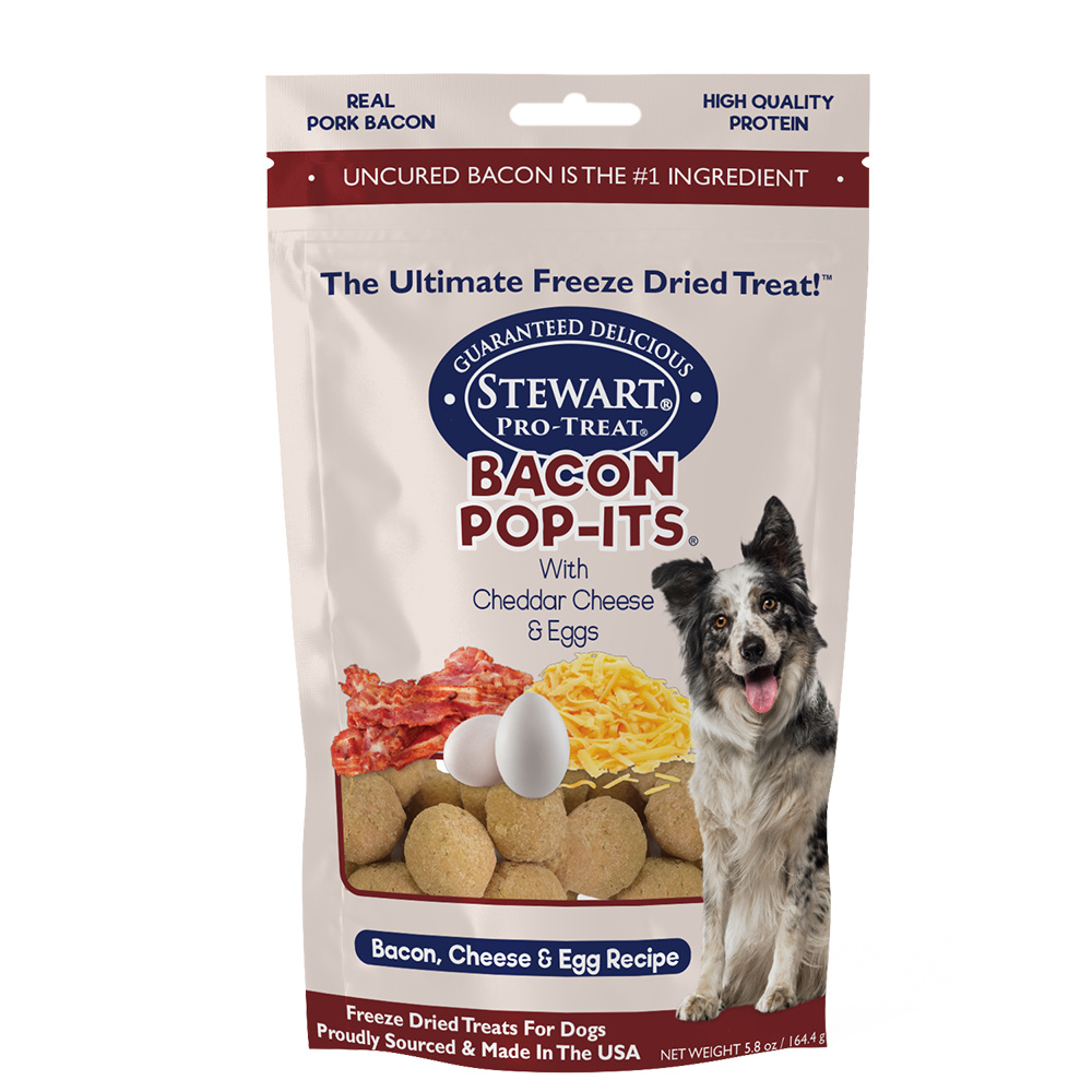 egg dog treats