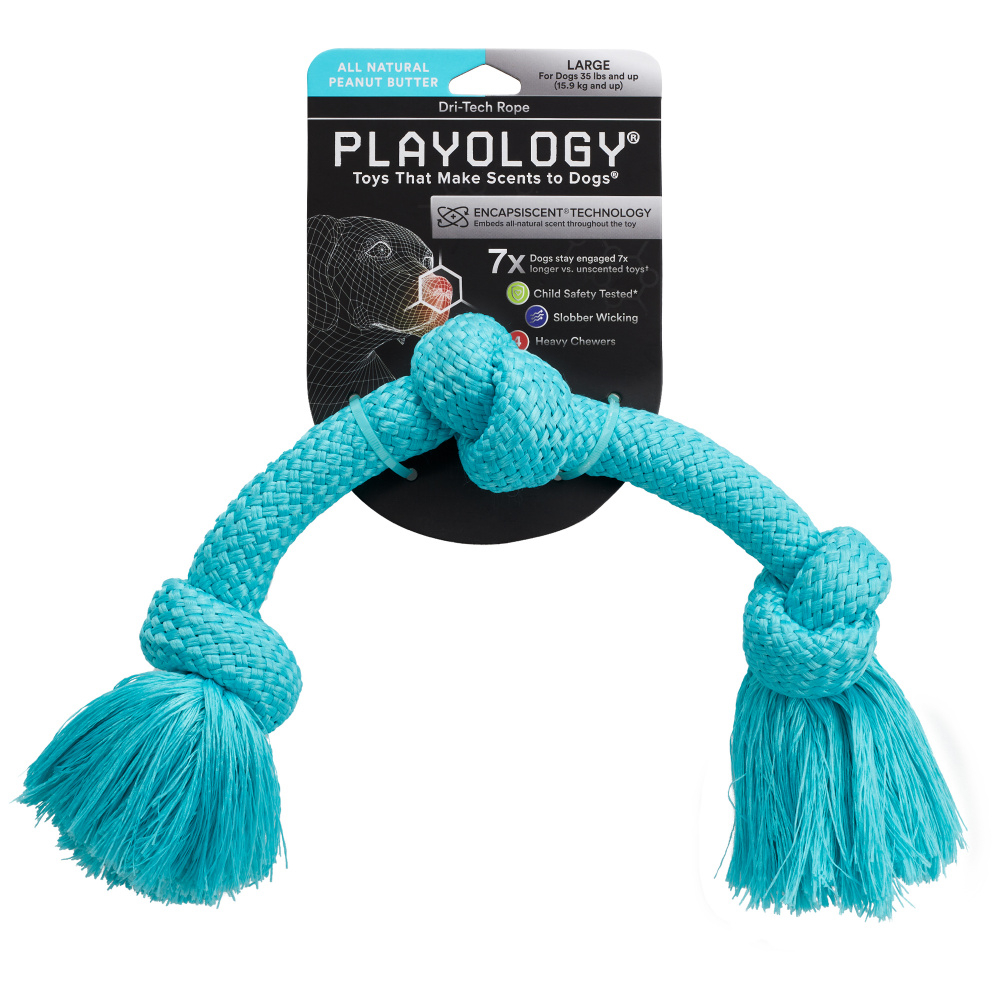 Buy Playology Plush Squeaky Dog Toy for Moderate Chewers - Medium