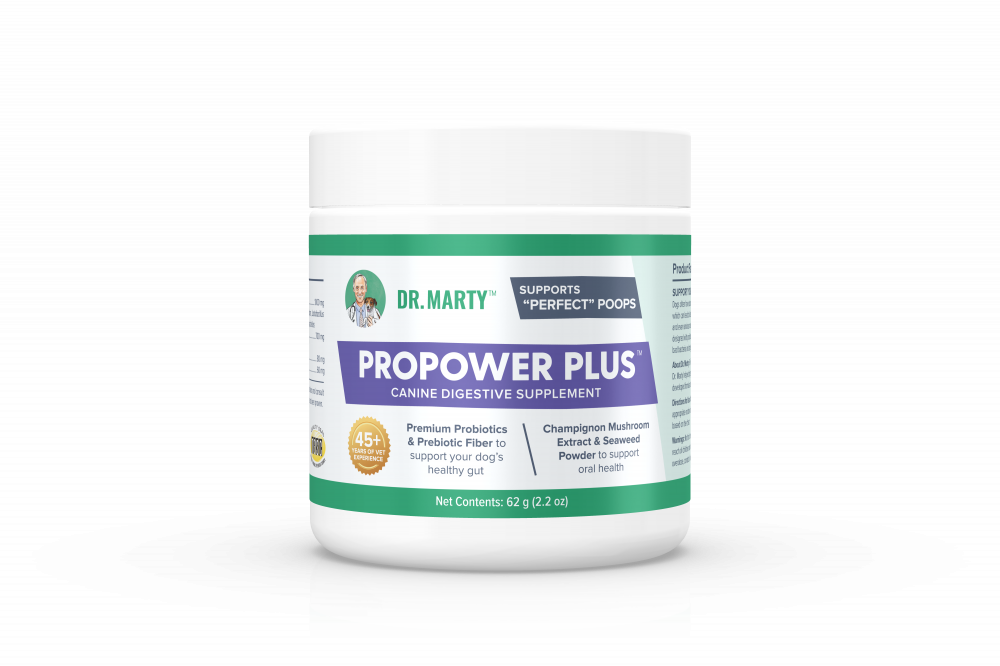 Pro power plus cheap probiotics for dogs