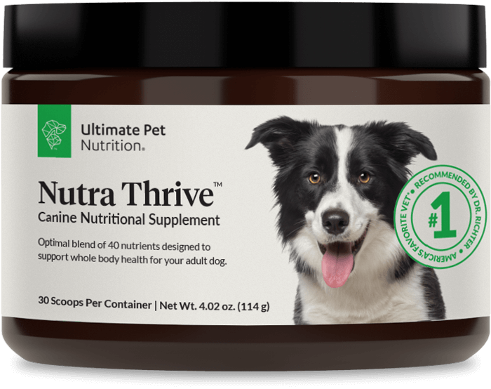 Dr richter 2024 ultimate pet nutrition