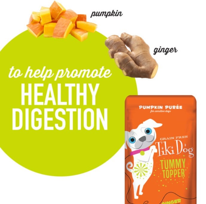 Dog food pumpkin puree fashion