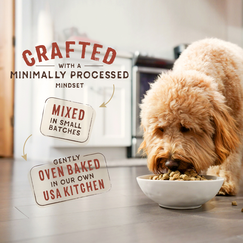 Stella & chewy's raw blend cage free outlet recipe