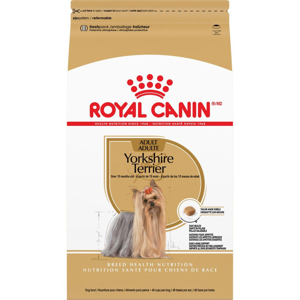 Royal Canin Breed Health Nutrition Yorkshire Terrier Adult Dry Dog Food |  PetFlow