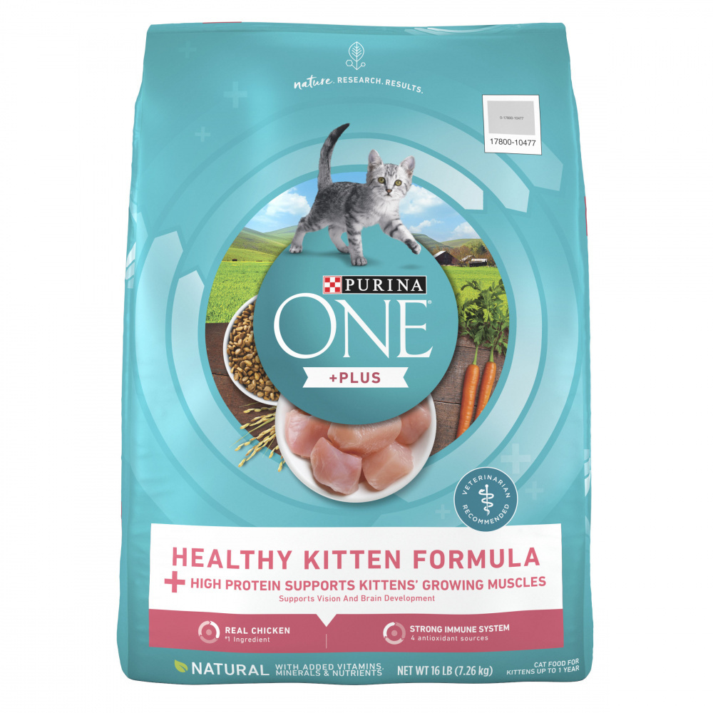 Purina ONE Plus Healthy Kitten Dry Cat Food