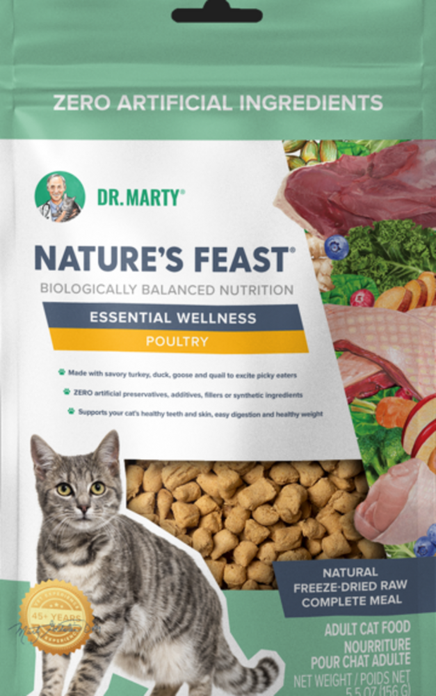 Dr marty goldstein cat fashion food