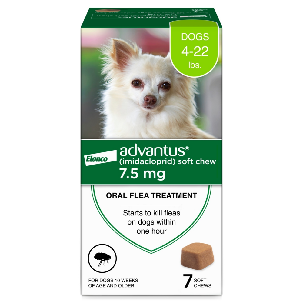 Small shops dog flea and tick treatment