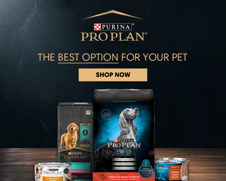 https://www.petflow.com/images/home/hero/OCT-23/9_20_PURINA_HOMEPAGE_BANNER_MOBILE.png